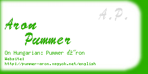 aron pummer business card